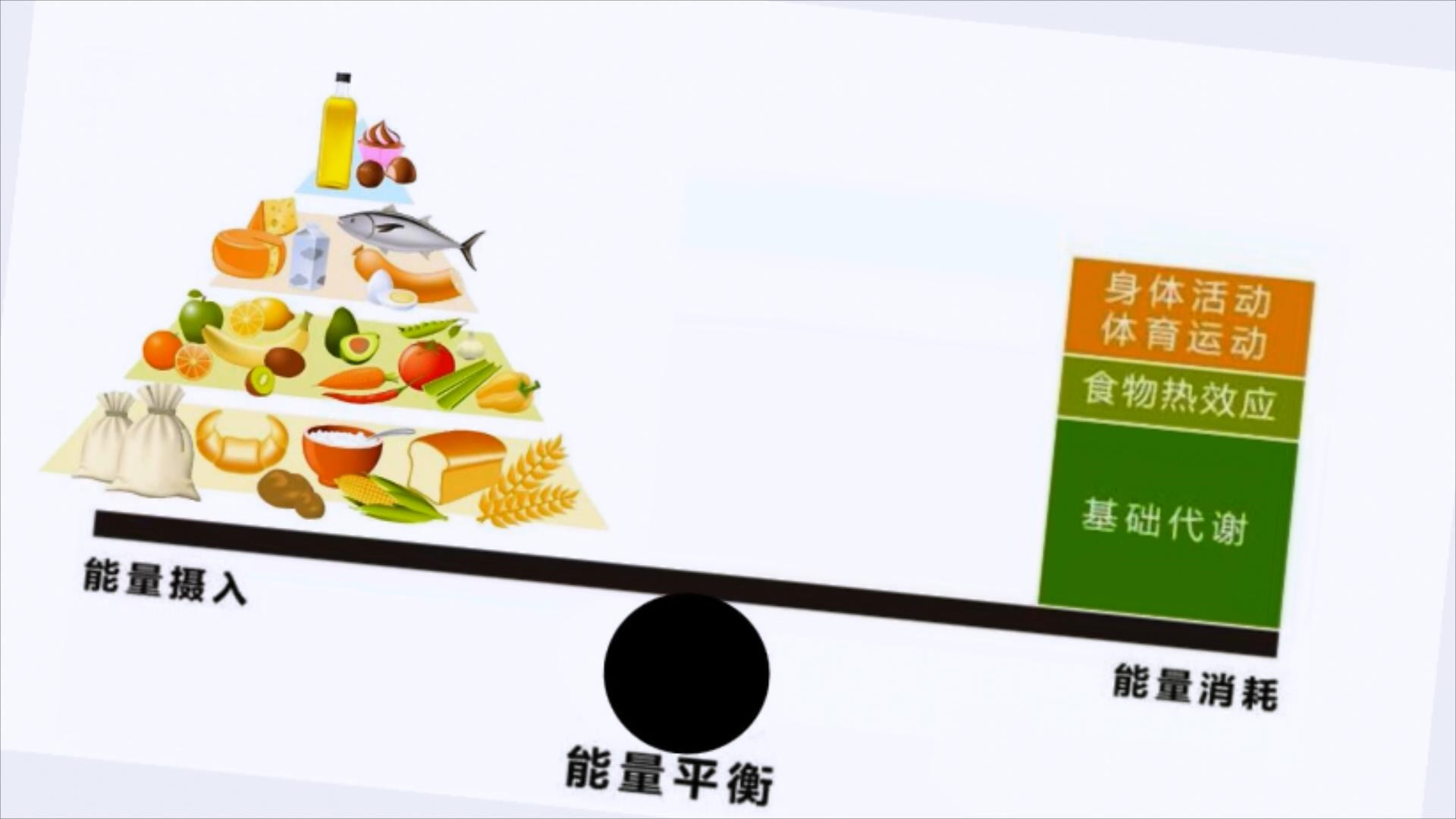 减肥食谱一周瘦10斤科学减肥【瘦身食谱】