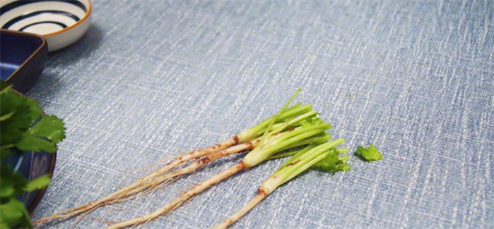 如何用矿泉水瓶种香菜 饮料瓶种香菜小妙招