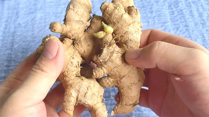 生姜加牙膏起到什么作用 姜和牙膏功效