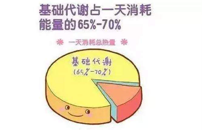 基础代谢率计算公式 基础代谢率的正常范围